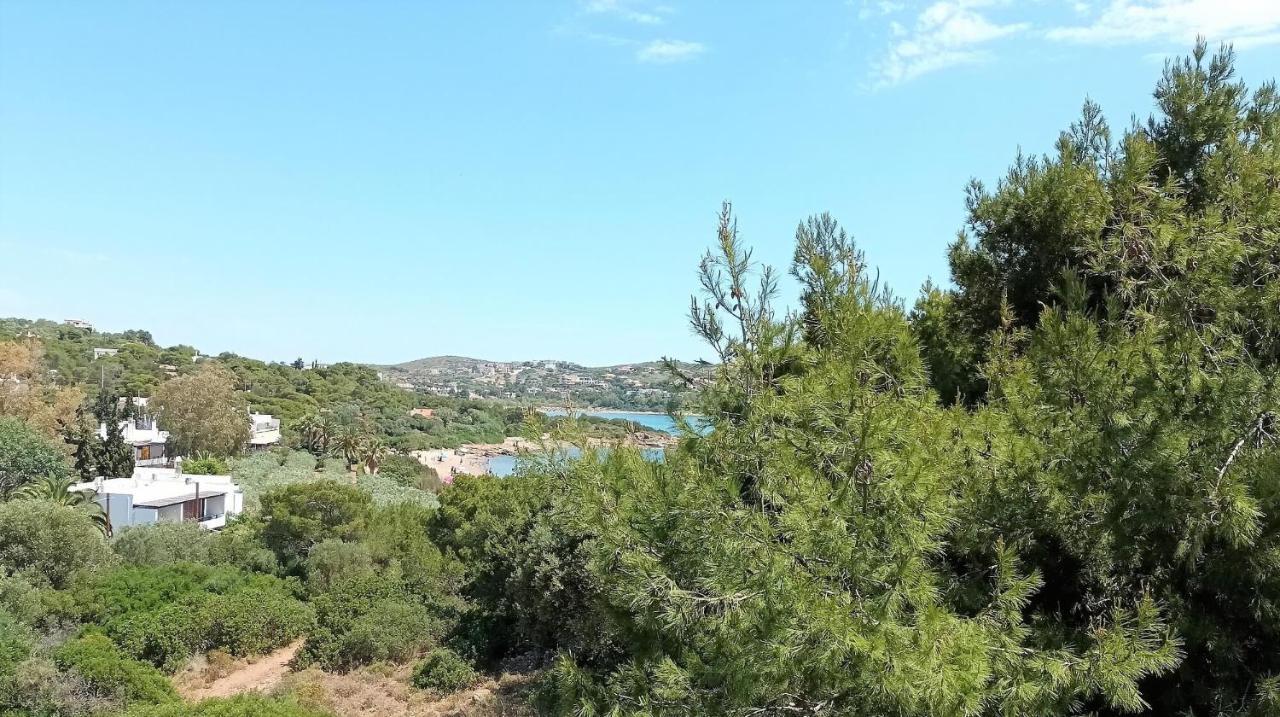 Dea Del Mare Complex In Front Of The Sea. Villa Sunion Exteriör bild